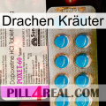 Drachen Kräuter new07